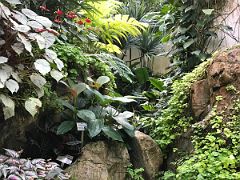 07B Plants and trees surround a small waterfall in the Forsgate Conservatory Hong Kong Park